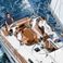 Bavaria Cruiser 46 | Windland