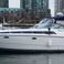 Bayliner Avanti 4085 Express | Yalla Habibi