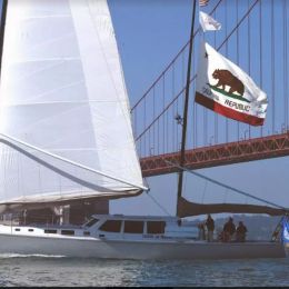 Wyliecat 65 | Derek M Baylis