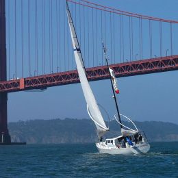 Wyliecat 65 | Derek M Baylis