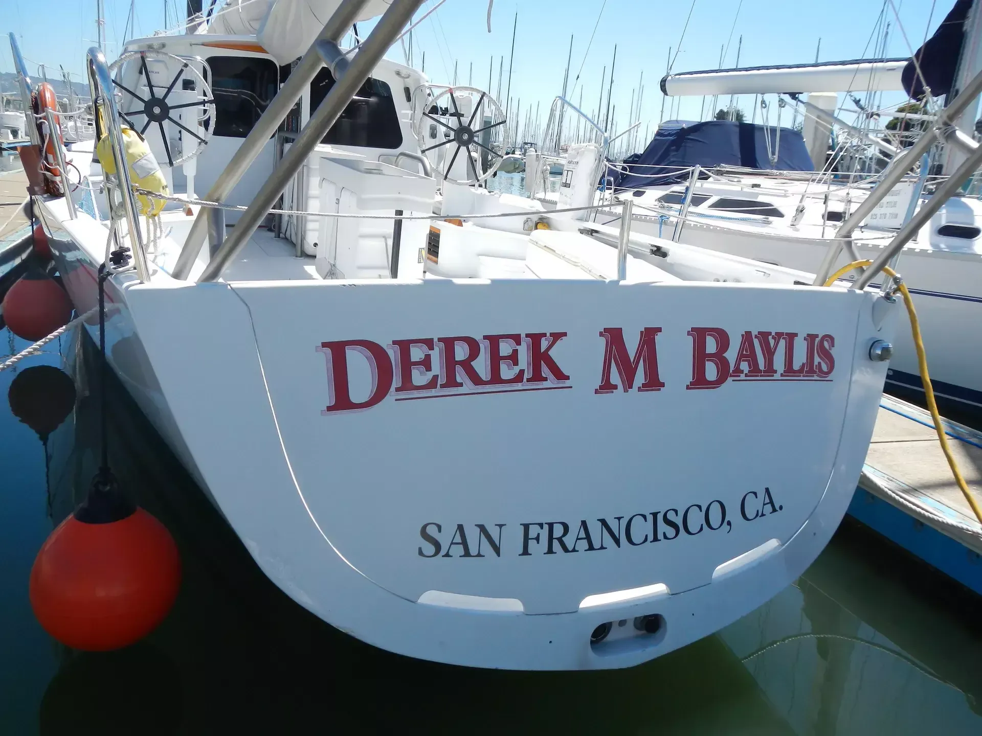 Wyliecat 65 | Derek M Baylis