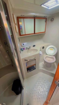 Sea Ray 500 Sundancer | Madu 2