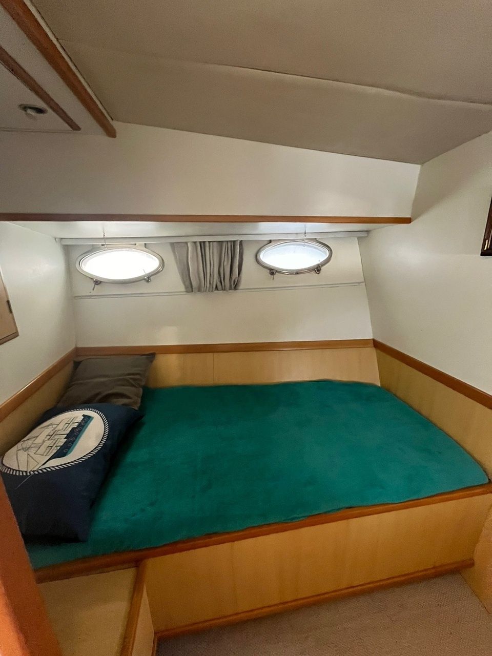 Technomarine T50 | Colosso