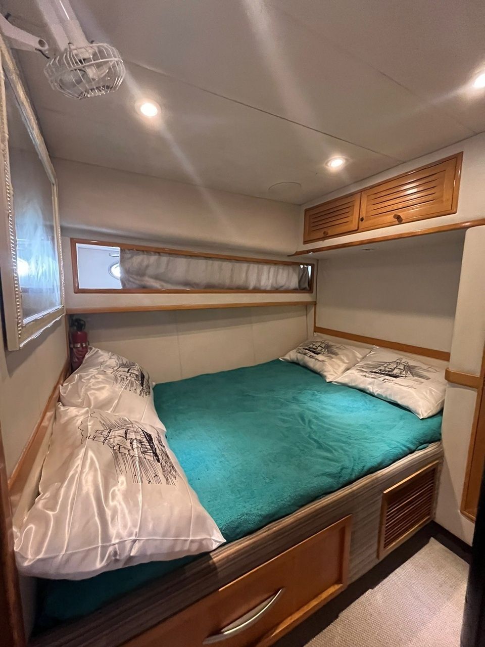 Technomarine T50 | Colosso