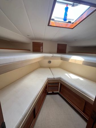 Technomarine T50 | Colosso