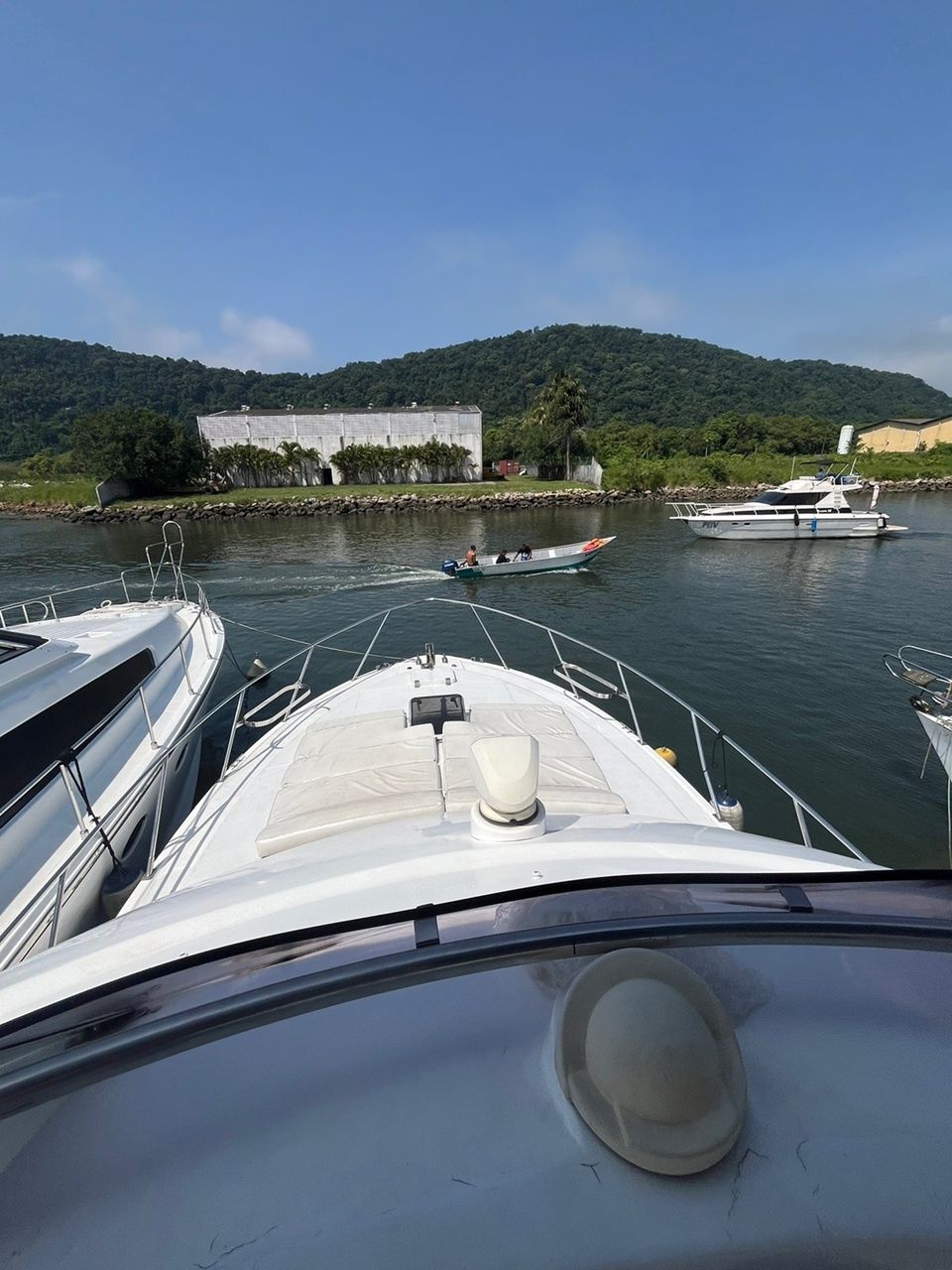 Technomarine T50 | Colosso