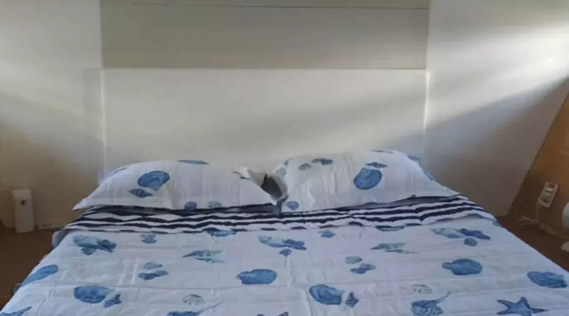 Trawler 62 | So Alegria