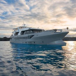 Custom Built 138 | Freddy's Legacy