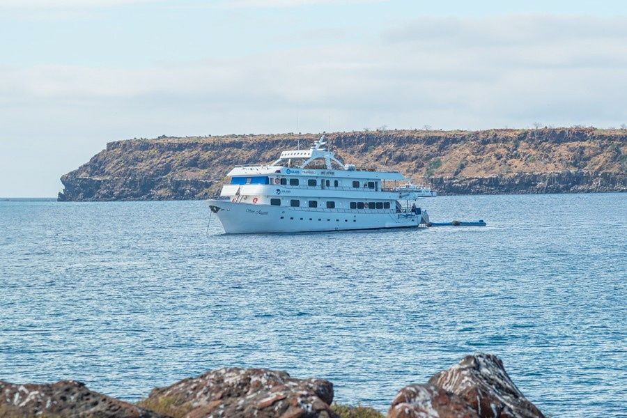 Custom Built 118 | San Jacinto