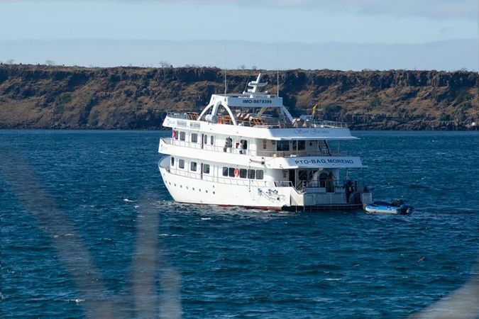 Custom Built 118 | San Jacinto