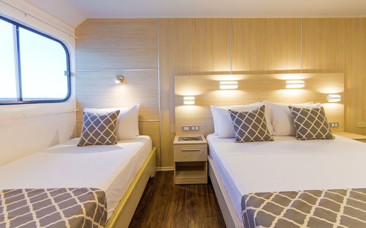 Custom Built 118 | San Jacinto