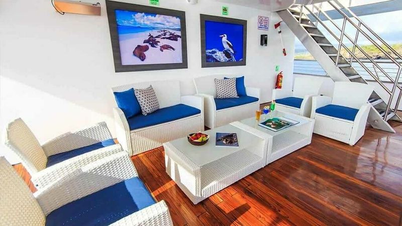 Custom Built 118 | San Jacinto