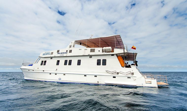 Custom Built 88 | Archipel 1