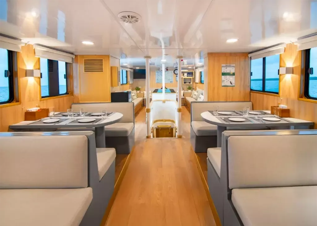 Custom Built 82 | Aqua