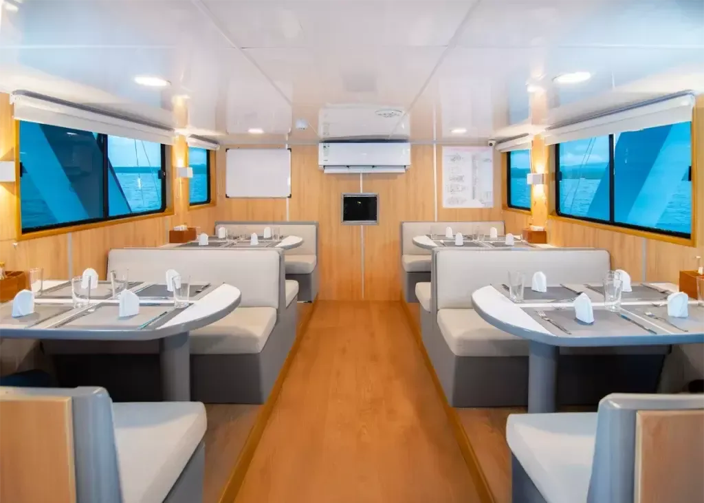 Custom Built 82 | Aqua