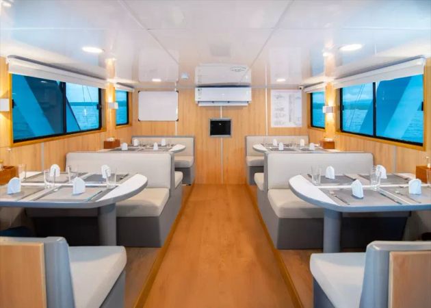 Custom Built 82 | Aqua