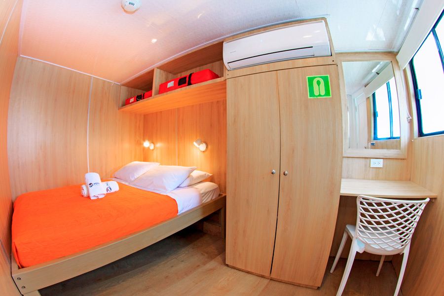 Custom Built 82 | Aqua