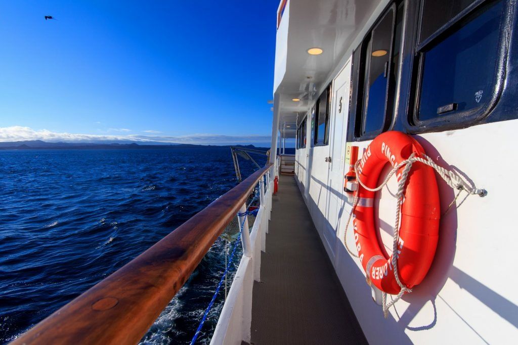 Custom Built 82 | Aqua