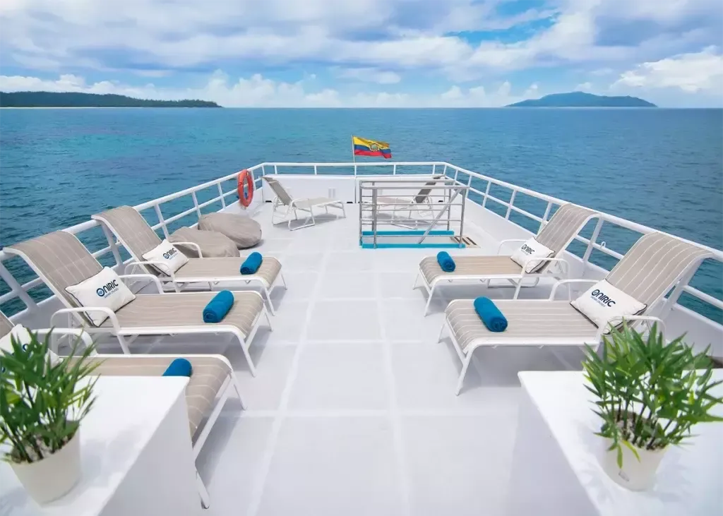 Custom Built 82 | Aqua