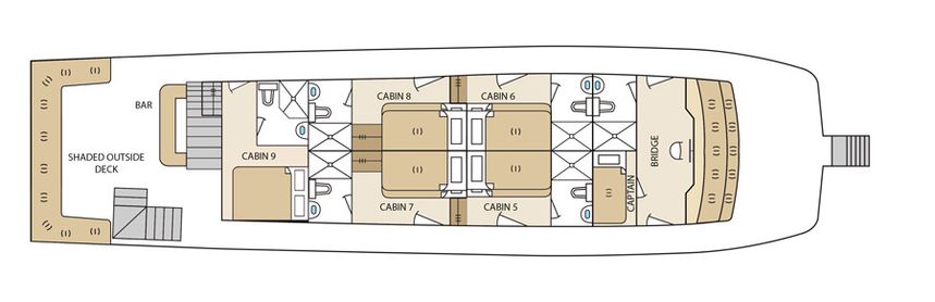 Custom Built 82 | Aqua