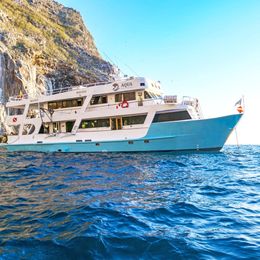 Custom Built 82 | Aqua