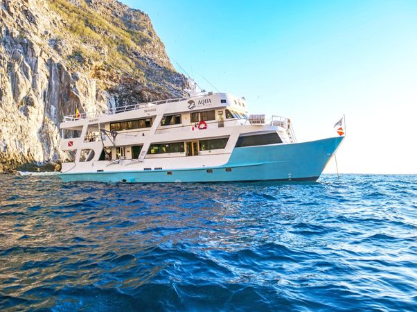 Custom Built 82 | Aqua