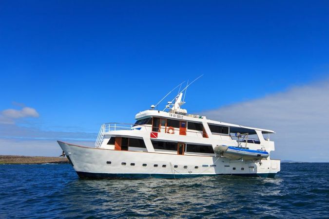 Custom Built 82 | Aqua