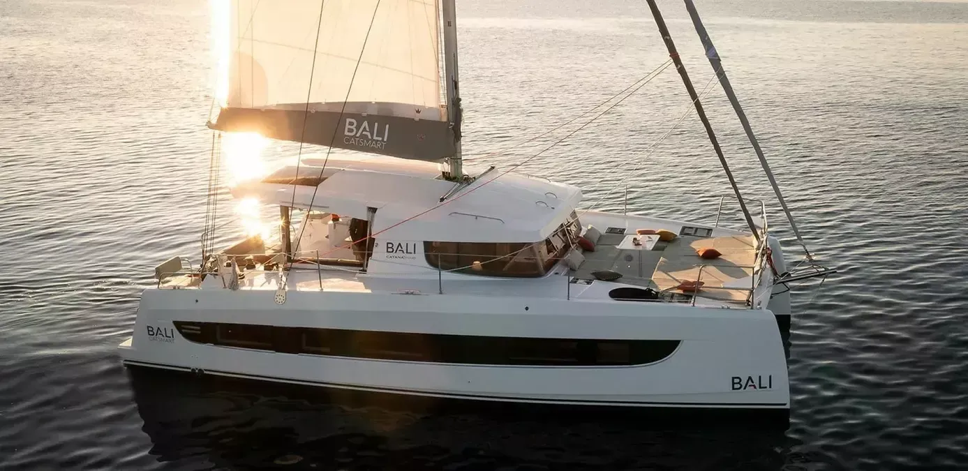 Bali Catsmart | Nemo