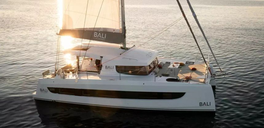 Bali Catsmart | Nemo