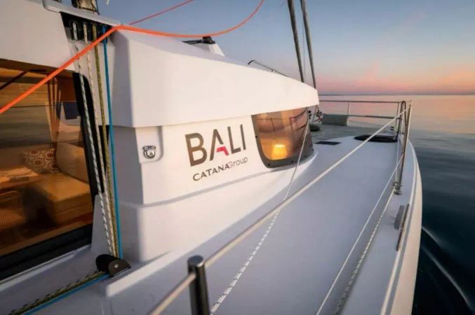 Bali Catsmart | Nemo