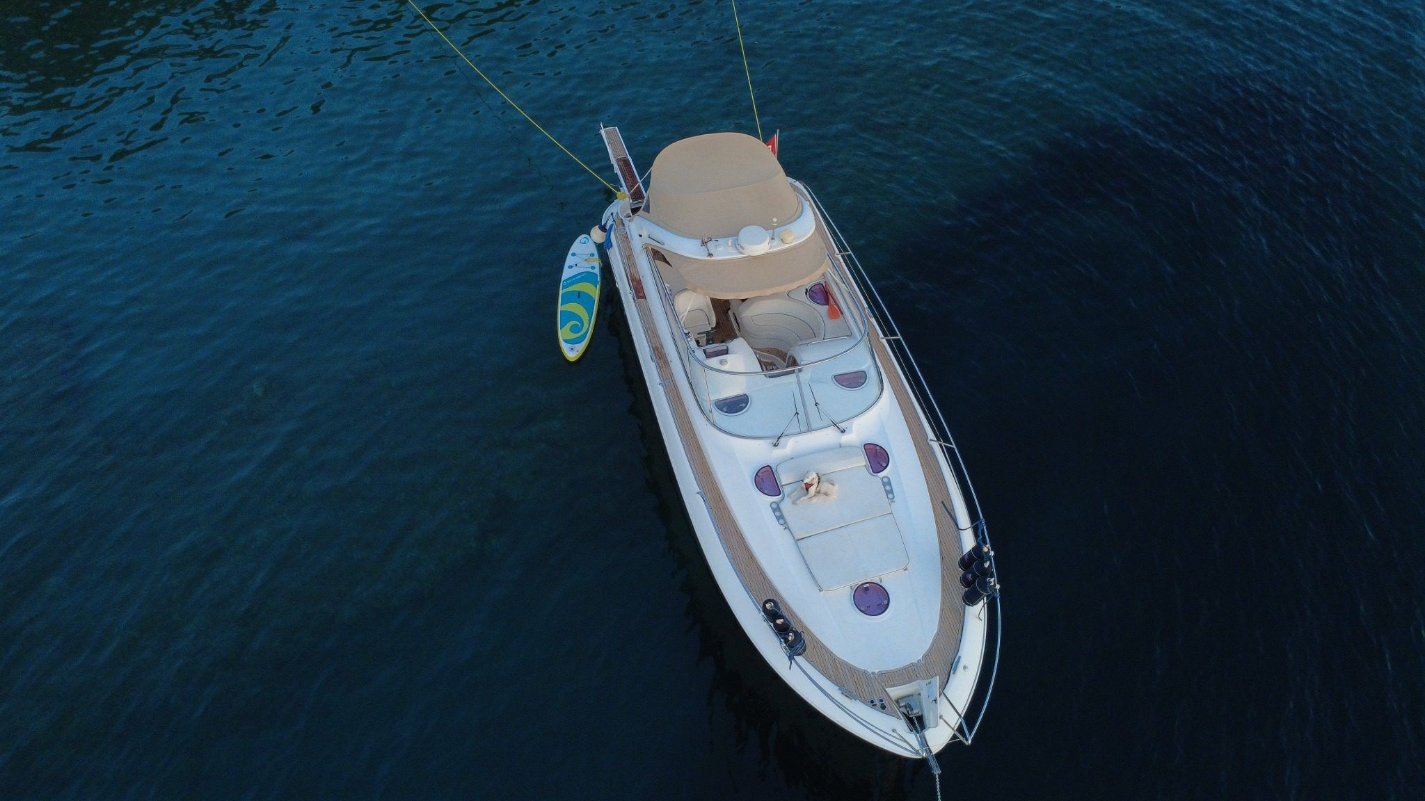 Bavaria Sport 37 | Amigo