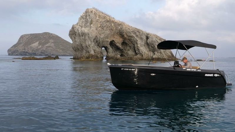 Mareti 585 | 23