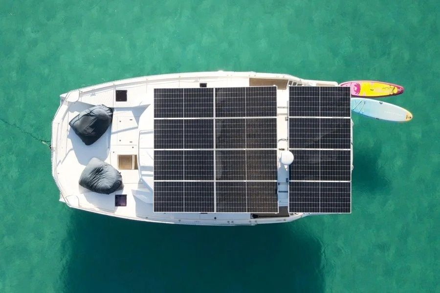 Leopard 43 | Pauline