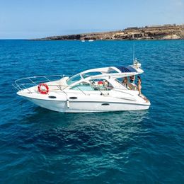 Sealine SC 29 | Champagne