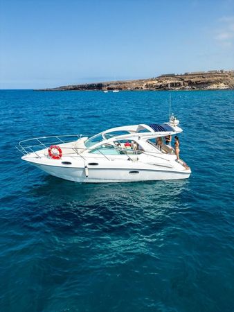 Sealine SC 29 | Champagne