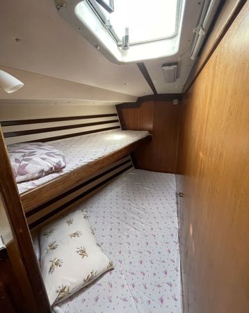 Dromor Triton 48 | Sagini
