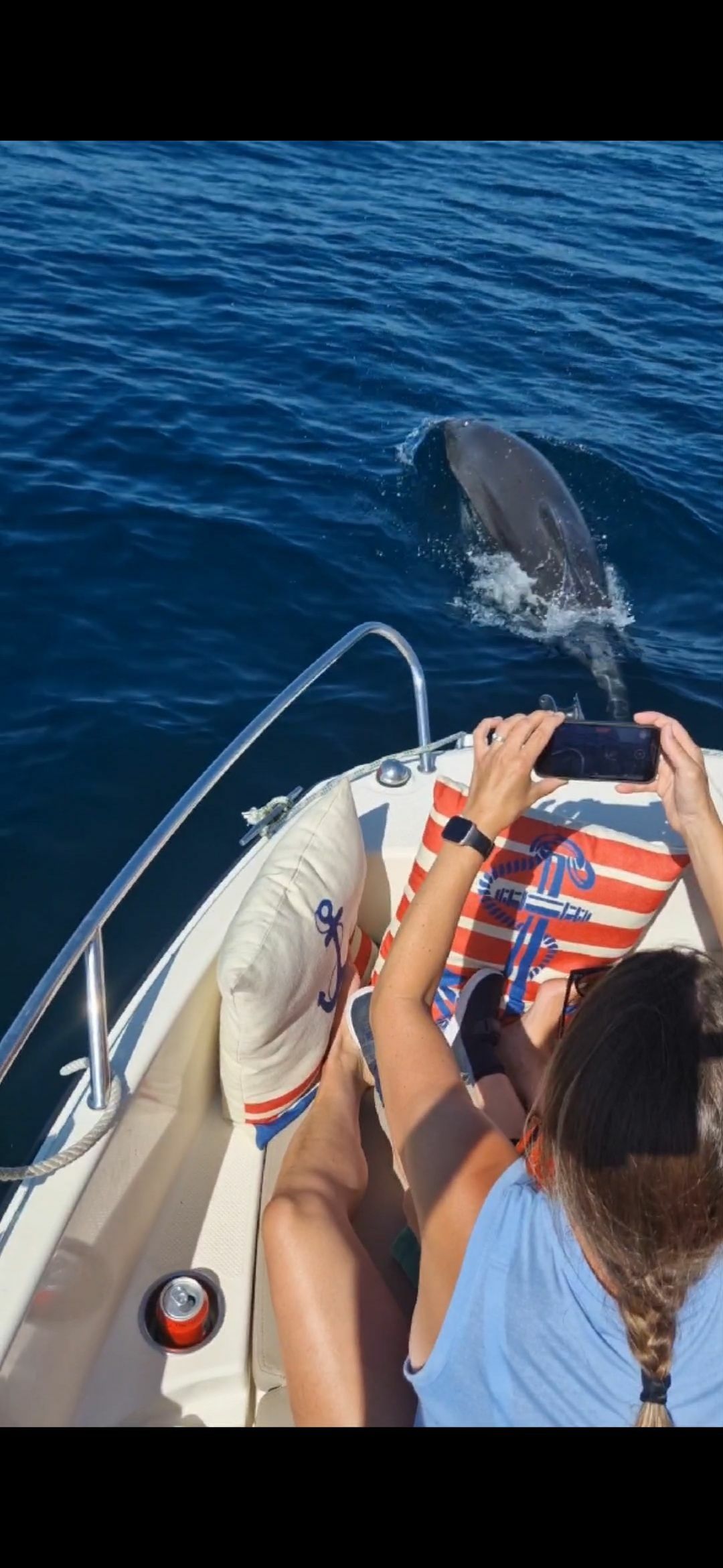 Quicksilver 555 Open | Sissy