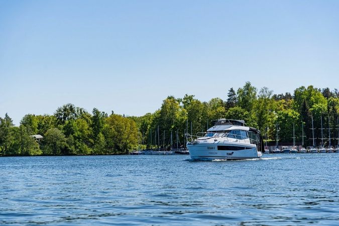 Odysseya Platinum 40 Fly | Texar 2