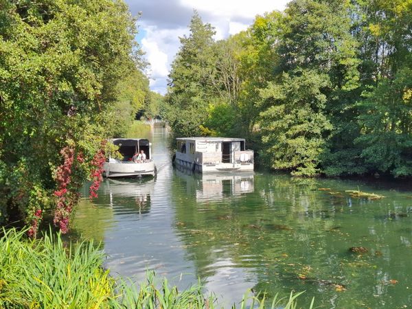 Naviwatt Zenriver 56 | Kifanlo