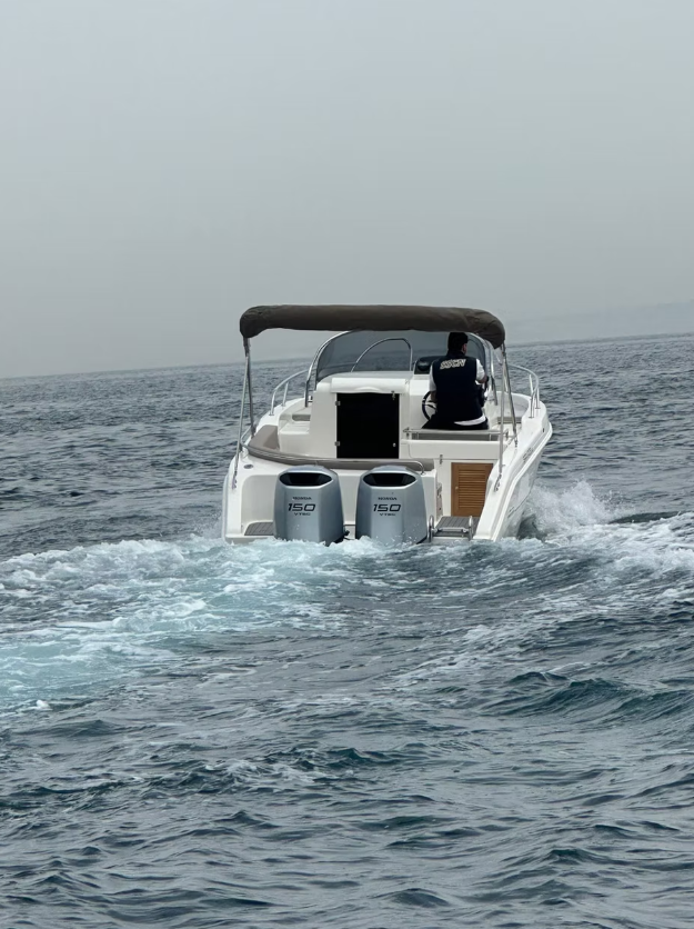 Mingolla Brava 26 | 24