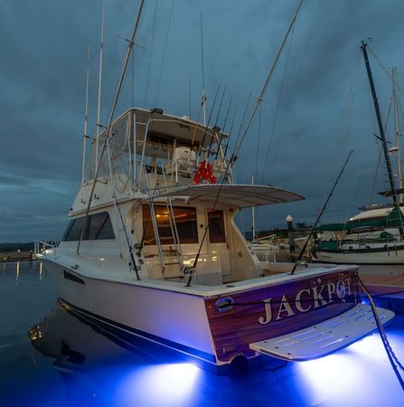 Viking 50 | Jackpot