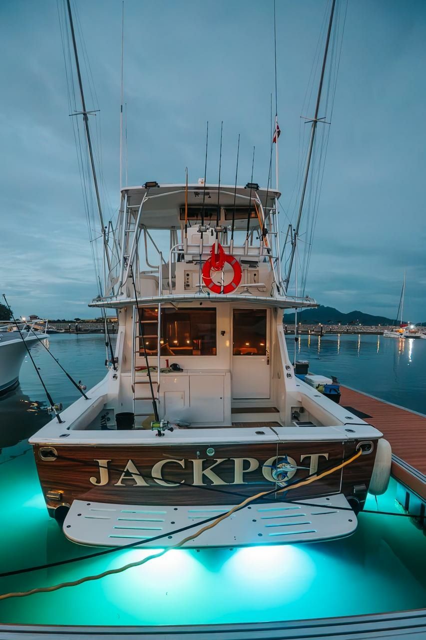 Viking 50 | Jackpot