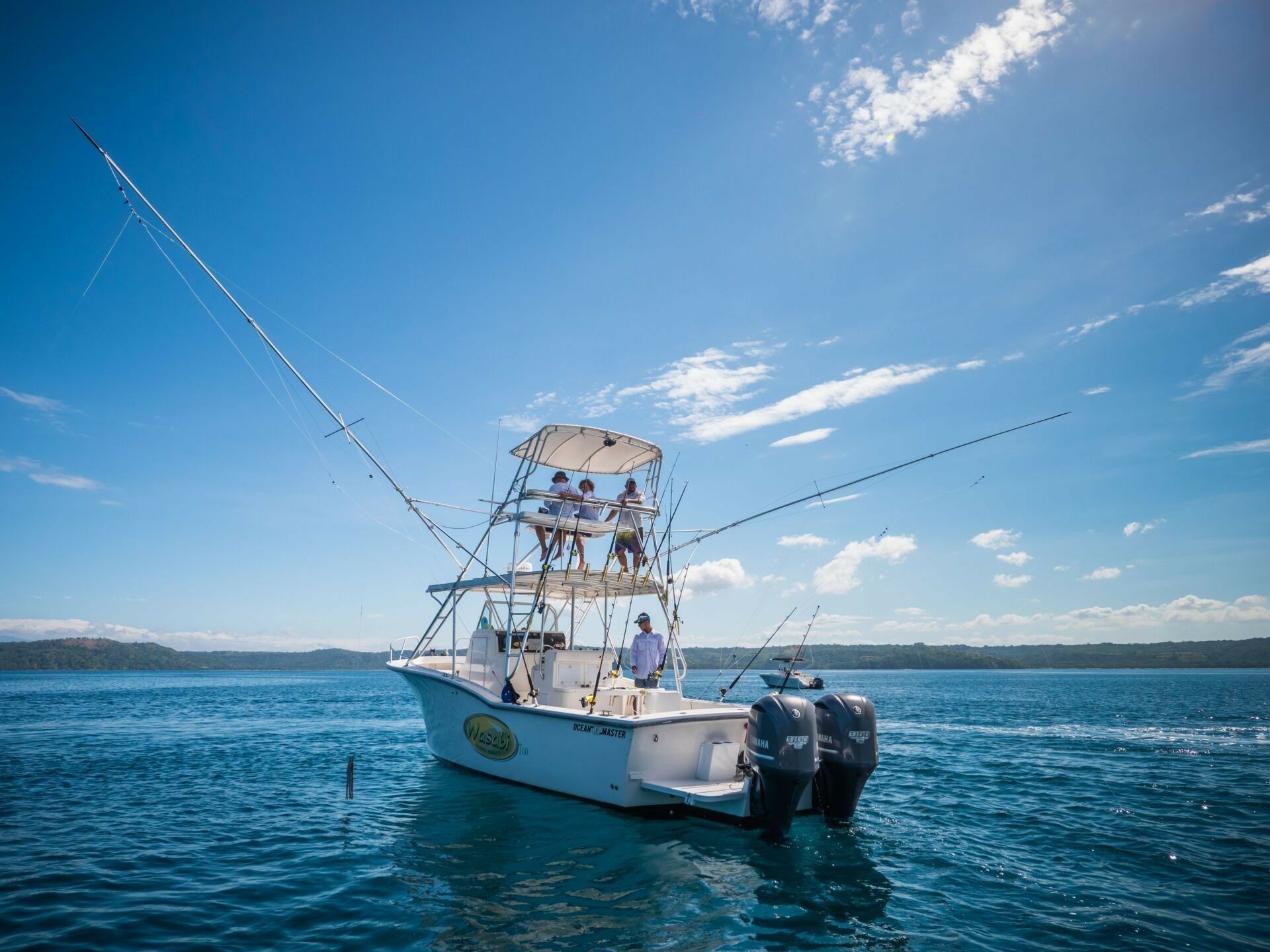 Ocean Master 34 | Wasabi