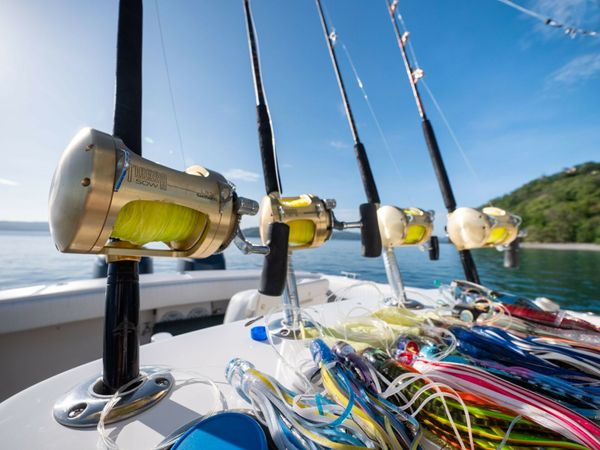 Ocean Master 34 | Wasabi