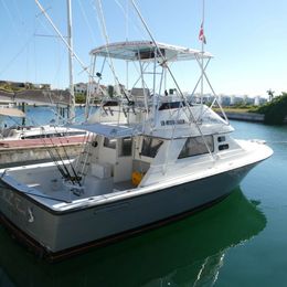 Phoenix 36 | Marlin Fever