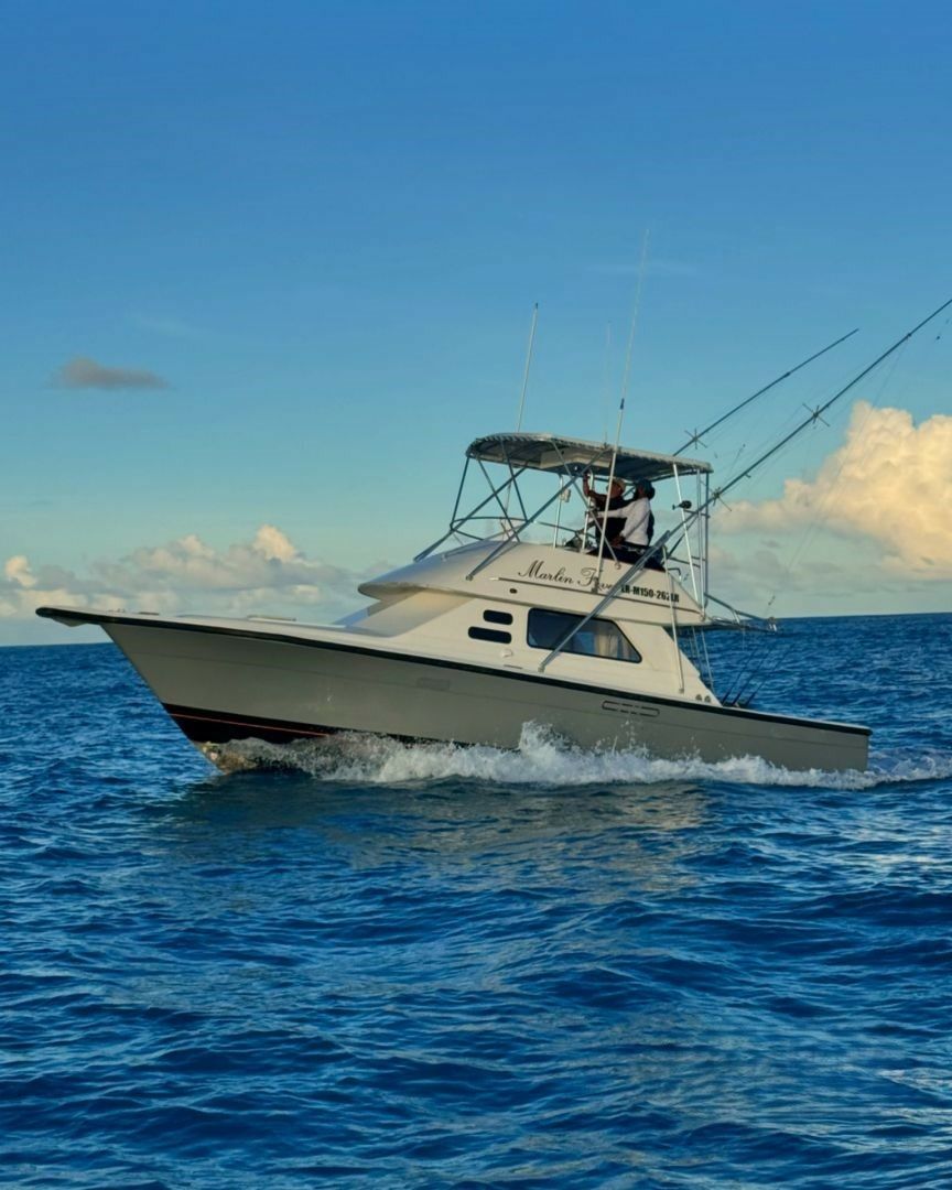 Phoenix 36 | Marlin Fever