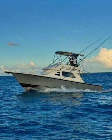 Phoenix 36 | Marlin Fever