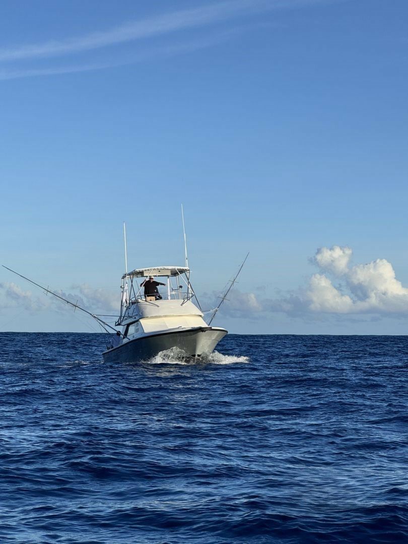 Phoenix 36 | Marlin Fever