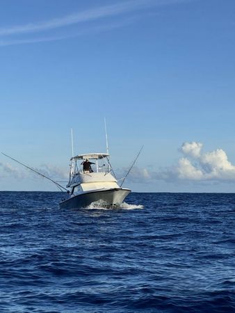 Phoenix 36 | Marlin Fever