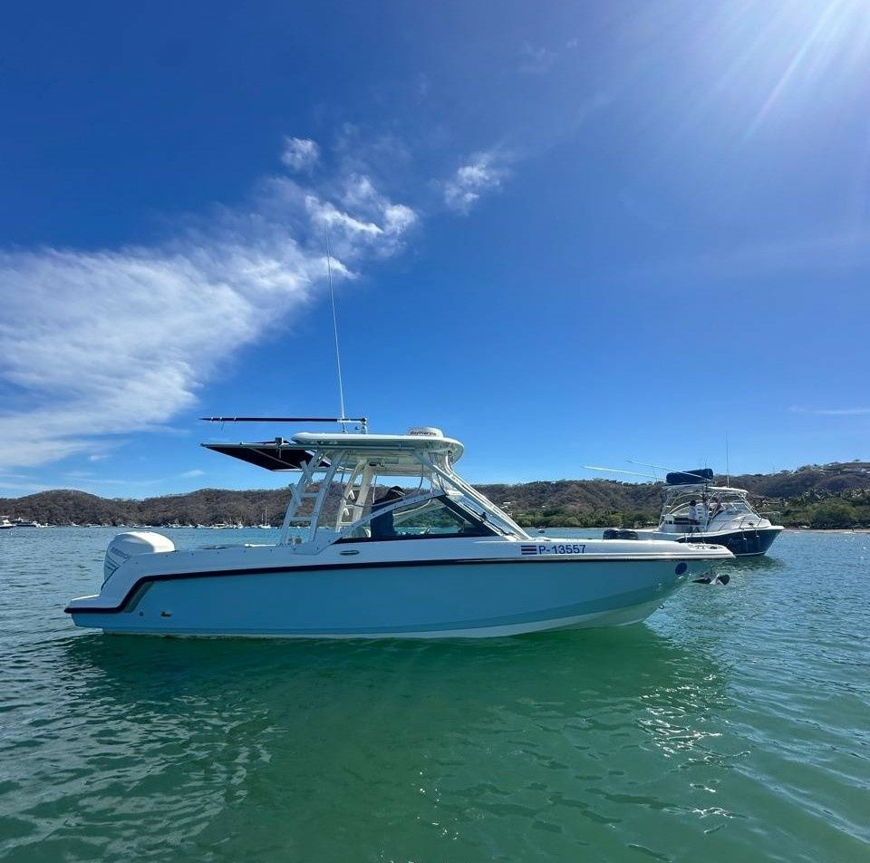 Boston Whaler 270 Vantage | 19